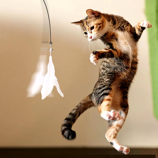 PawTease™ Interactive Cat Teaser Toy – Feather Wand with Bell & Strong Suction Cup Base for Endless Playtime Fun